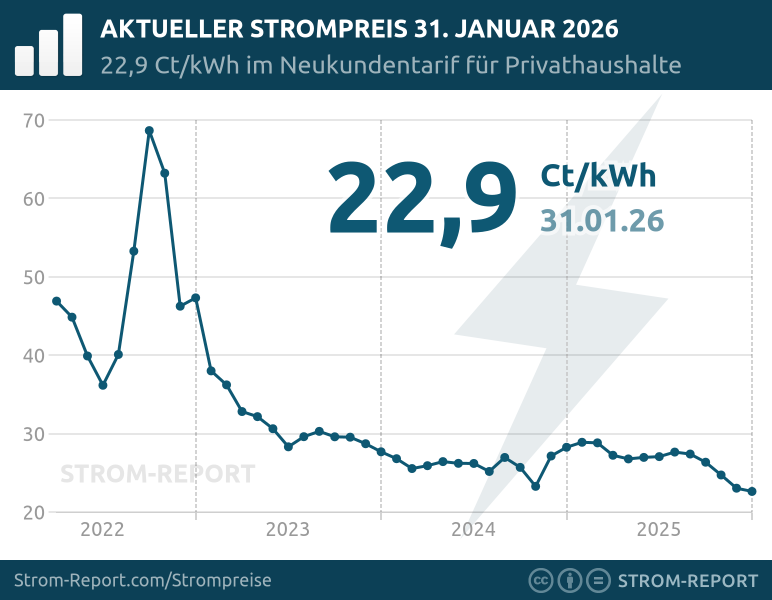 Tagesaktueller Strompreis für private Verbraucher (bundesdeutscher Schnitt)